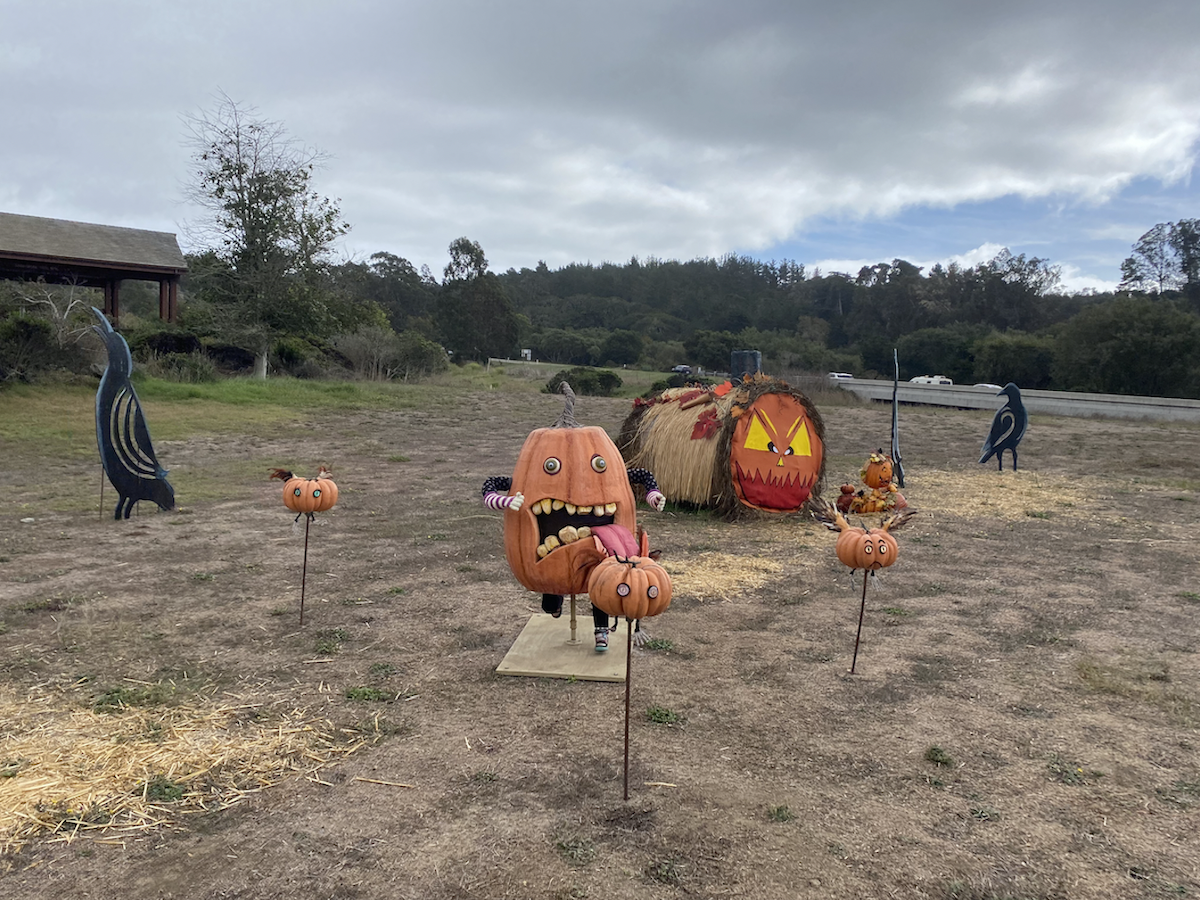 Screen Shot 2022-10-26 at 9.19.51 PM