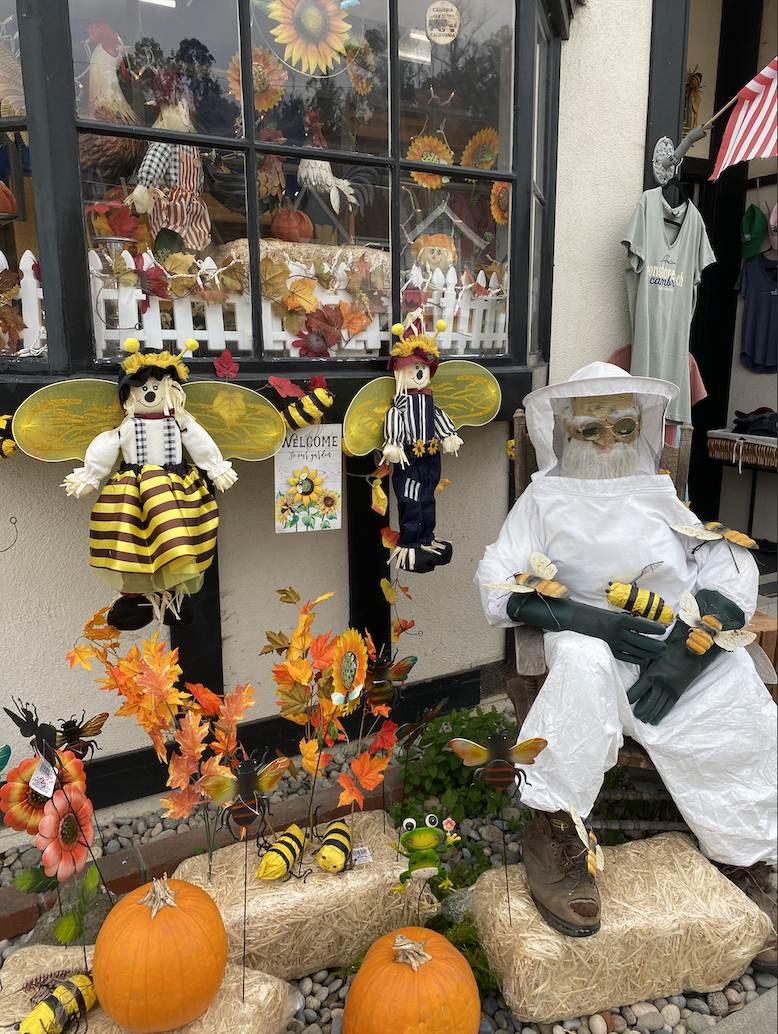 Screen Shot 2022-10-26 at 9.20.33 PM